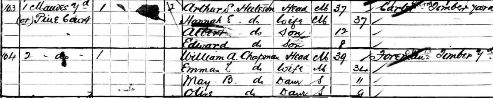 1901 census Pine Court.JPG