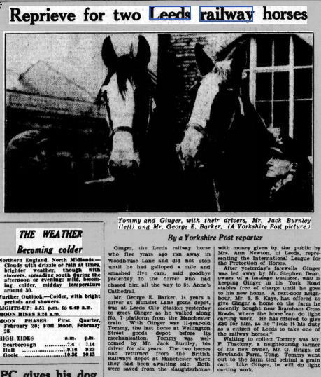 Yorkshire post.18.2.1953 last railway horse saved.jpg