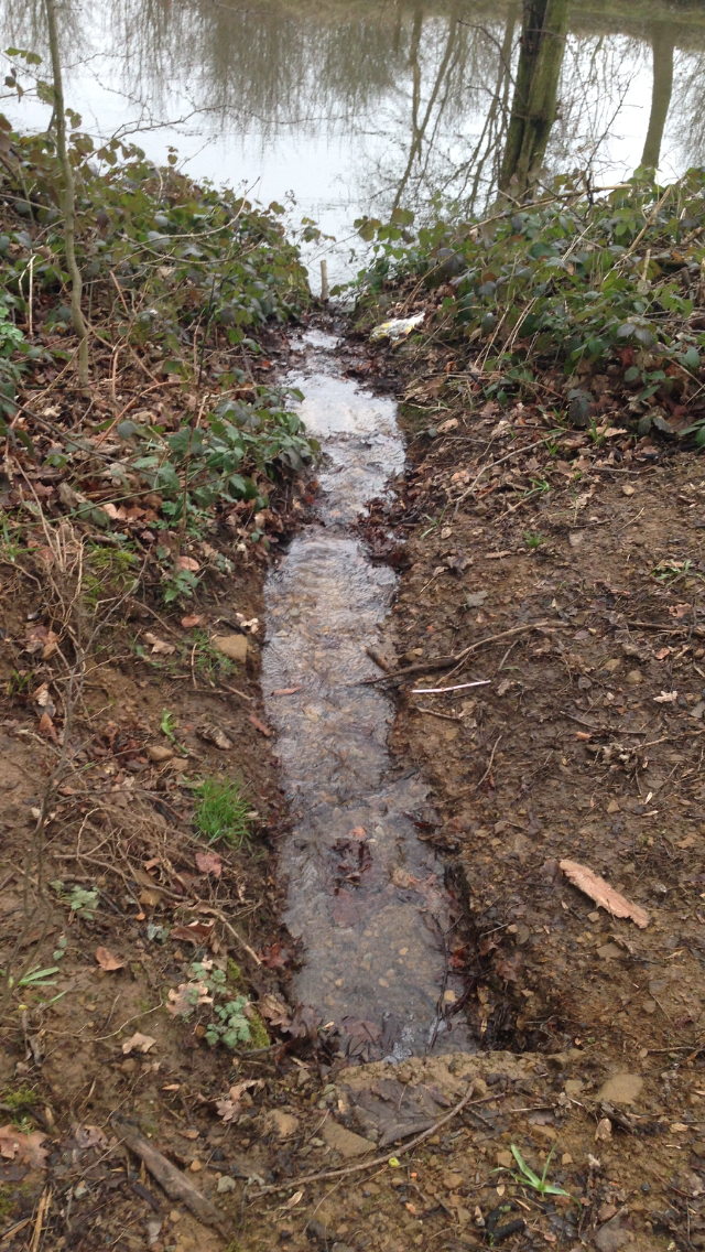 Flowing into the canal