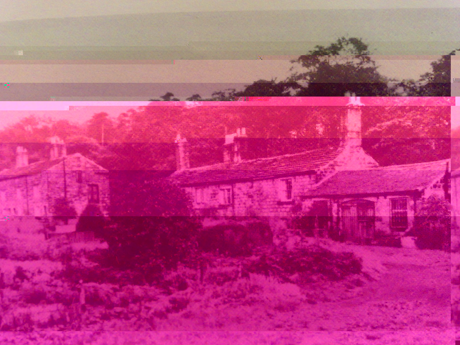 __TFMF_qca55vf4s2odm245wblx2155_ef2ff8a9-1b2b-45a0-bedf-1132476672b1_0_main.jpg