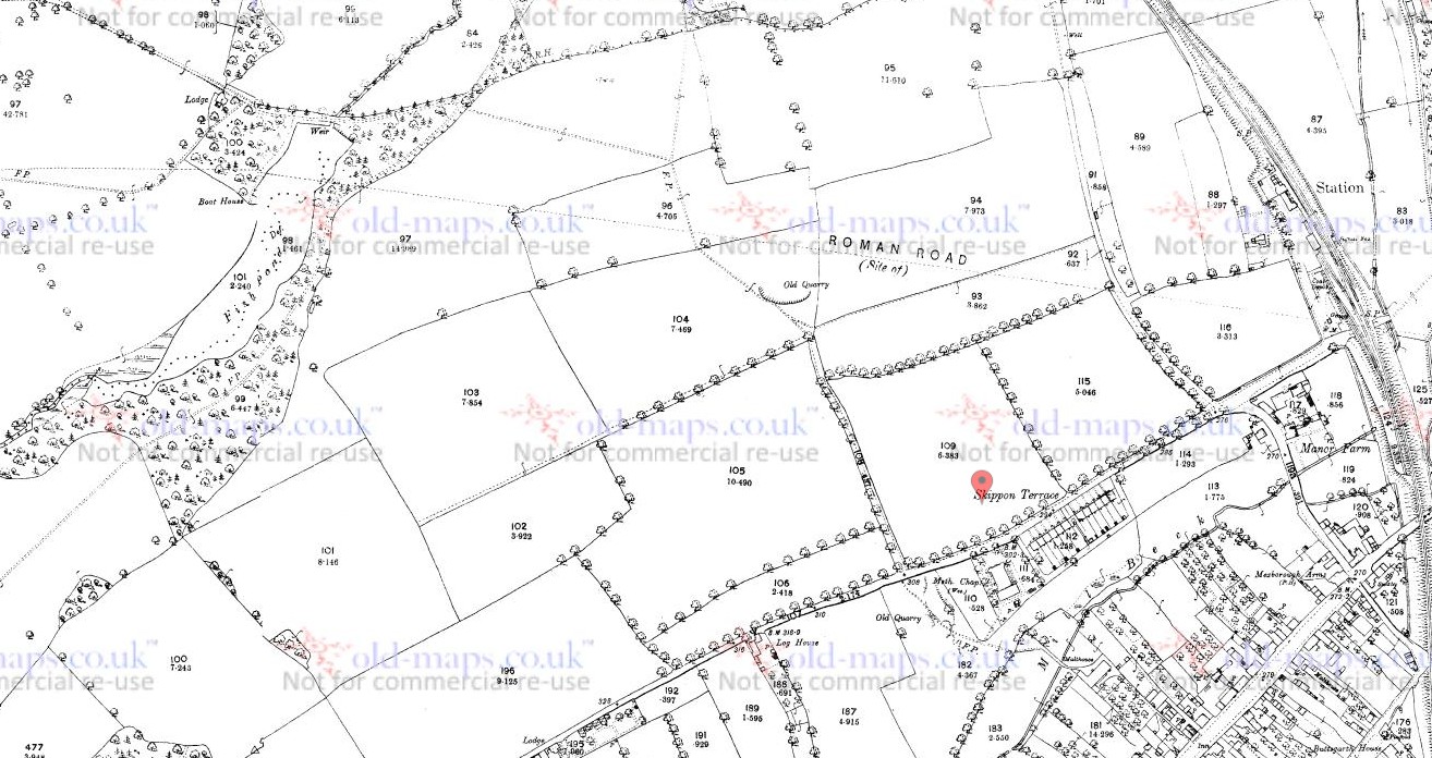 map c1893 showing fish pond near thorner.jpg