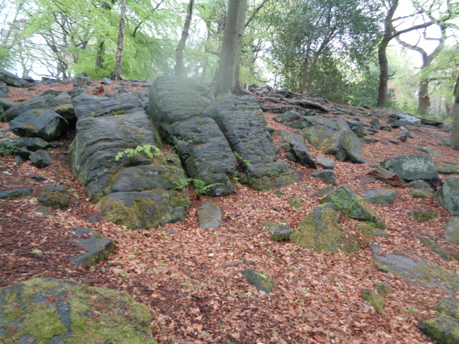 RocksInAlwoodleyCragsPlantationNorthLeedsMay102021..jpg