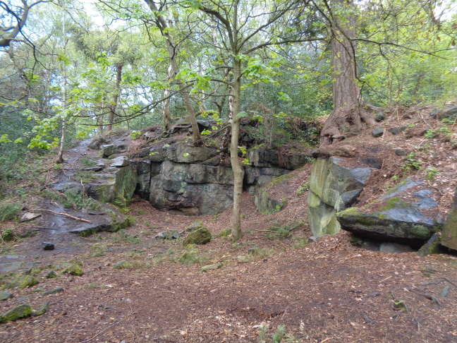 PossibleOldQuarryAlwoodleyCragsPlantationNorthLeedsMay102021..jpg