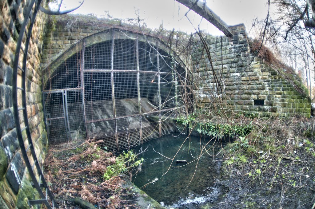 Monk Pit Branch (disused) (9).jpg