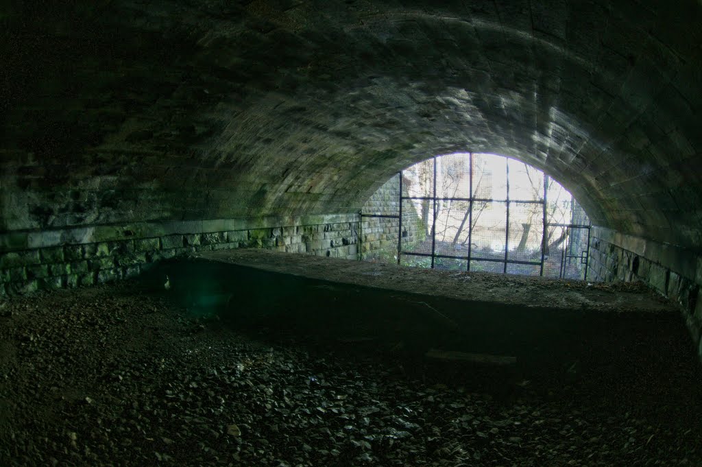 Monk Pit Branch (disused) (14).jpg