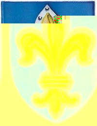 __TFMF_dt0pat55sxr44345riyjhjeq_4dc995a9-175c-49d2-87b3-0126f64523e9_0_main.jpg