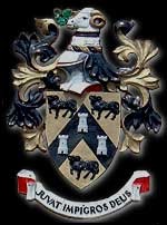 __TFMF_dt0pat55sxr44345riyjhjeq_2477c9d7-4394-40e2-bb50-fc81e7f95614_0_main.jpg
