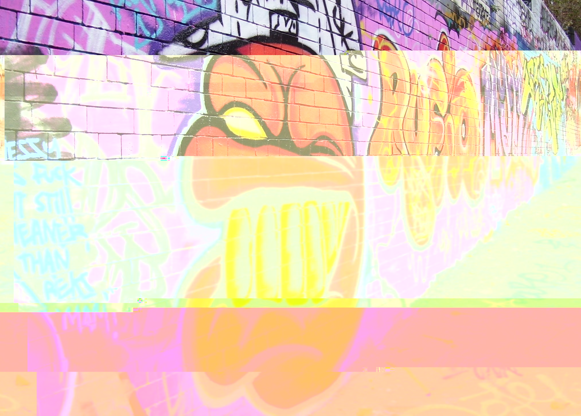 __TFMF_gfpz3az2d2as5hniny1dbn55_936b6df4-61b7-4974-b3e2-ae28b4aa5b59_0_main.jpg