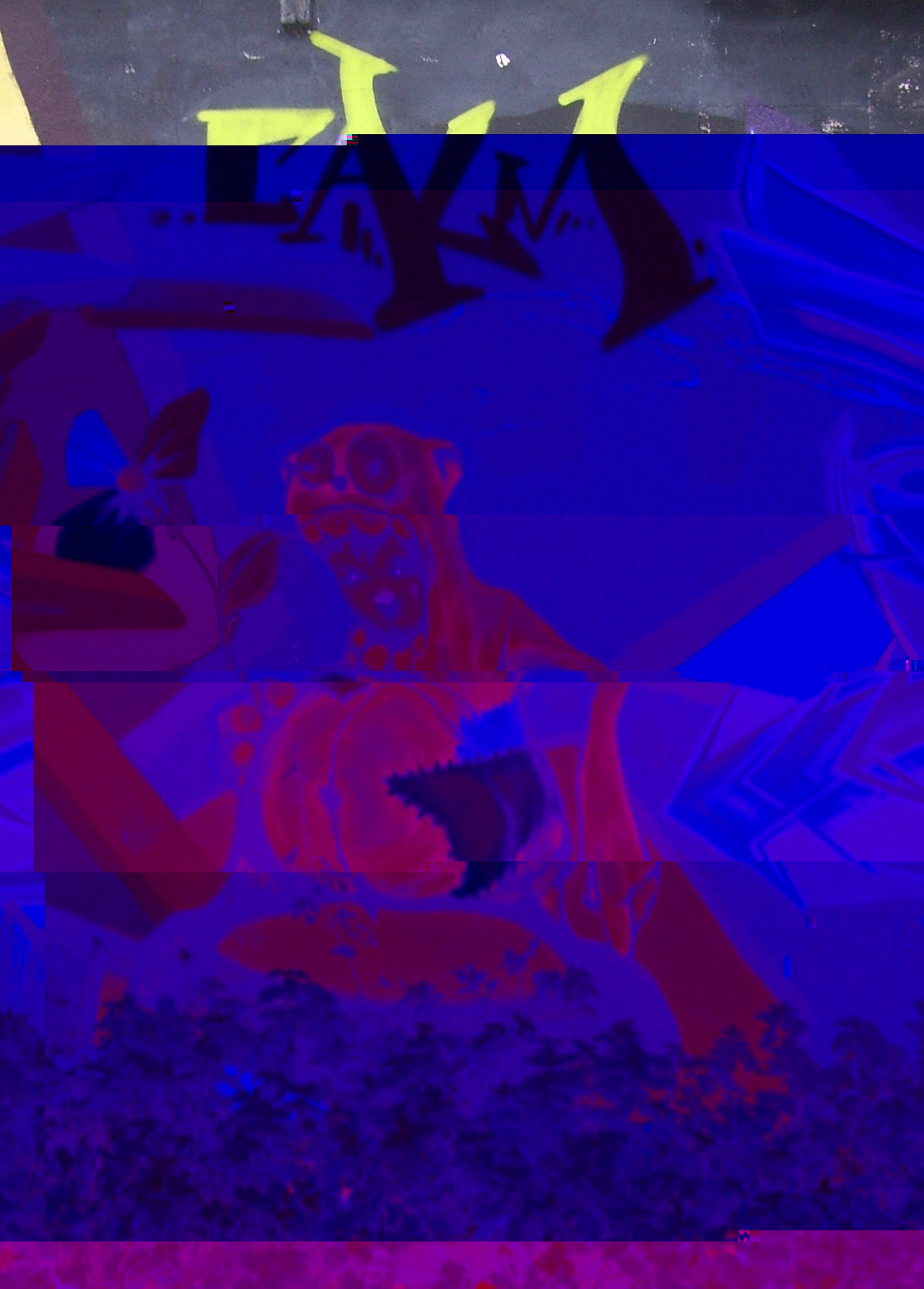 __TFMF_gfpz3az2d2as5hniny1dbn55_238f0835-fad6-4075-8d28-cb4a9cc98fa0_0_main.jpg