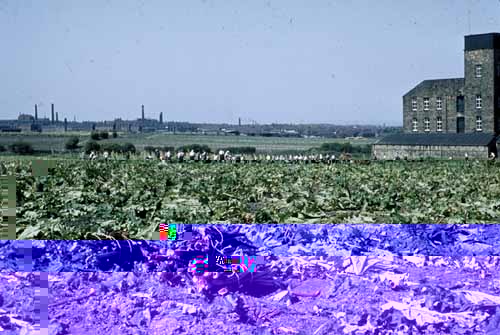 __TFMF_vmh5vz45pgn1hd45vhdme545_cfff2d07-e338-4c49-81c0-f9ae34e70a19_0_main.jpg