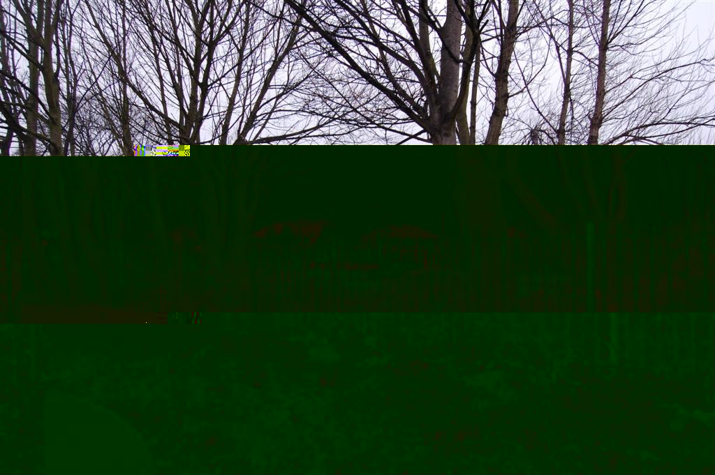 __TFMF_0t3f55fkee4qkx45uupks545_d87c4dfd-870c-4f37-af3f-da3658f6b78d_0_main.jpg