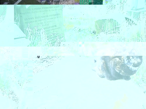 __TFMF_snfnrzuvcmshpd55yvuticvv_f39c72fb-f907-47d7-9fe8-262075dc13f5_0_main.jpg