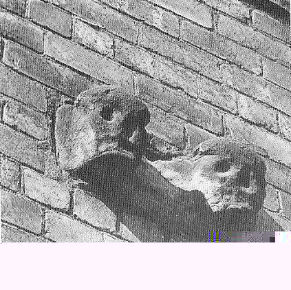 __TFMF_rmukf055t2zwu555l005x52n_ae10784a-2874-4a7b-9477-89f5a8f00fdc_0_main.jpg