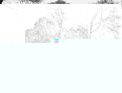 __TFMF_ijhe02noqk3vn445f5yod03o_e30b2a69-d4fb-4449-9971-c09a1755e355_0_main.jpg