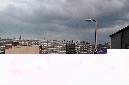 __TFMF_0mptqj55dwii4tmwtncq0vvd_09951e7d-1804-4fc0-a35f-b8089218b07e_0_main.jpg