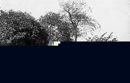 __TFMF_re24cr45y3tbte3dcyud4l55_524fb07c-c144-4cc0-a16e-83c387e8e676_0_main.jpg
