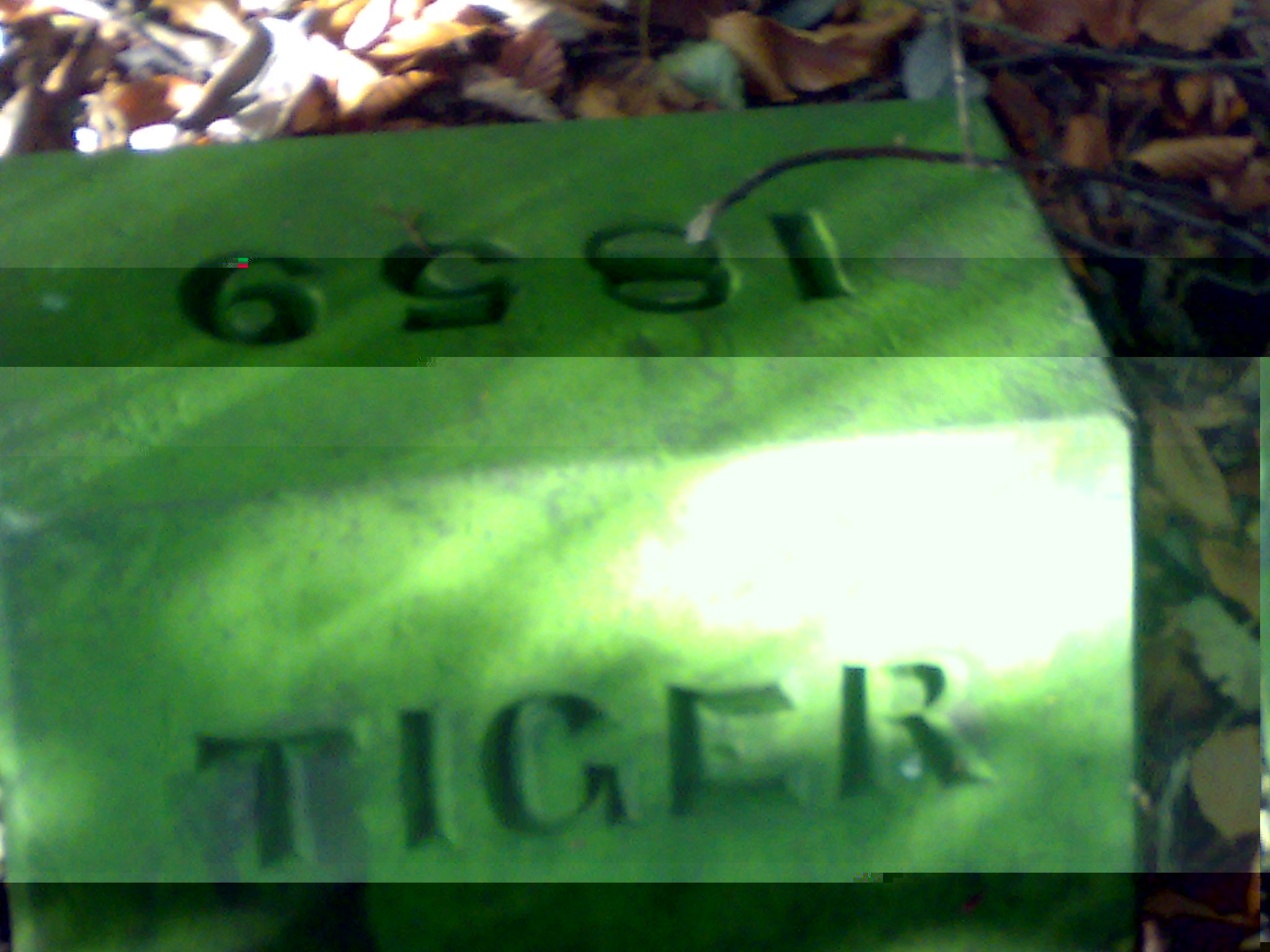 __TFMF_htu20a55jemsiujzmw0w5rjd_ff310147-4072-4935-bc4d-582b5bd1b5d0_0_main.jpg
