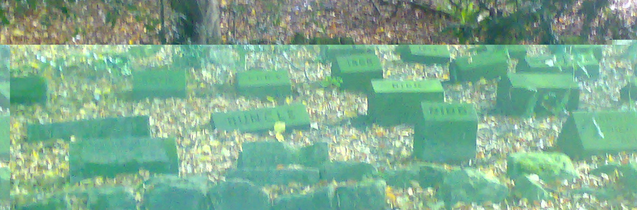 __TFMF_tf2dmw55s5geo245fq30kkb4_0bd0b267-f49a-402b-b8be-63bbc3376c5b_0_main.jpg
