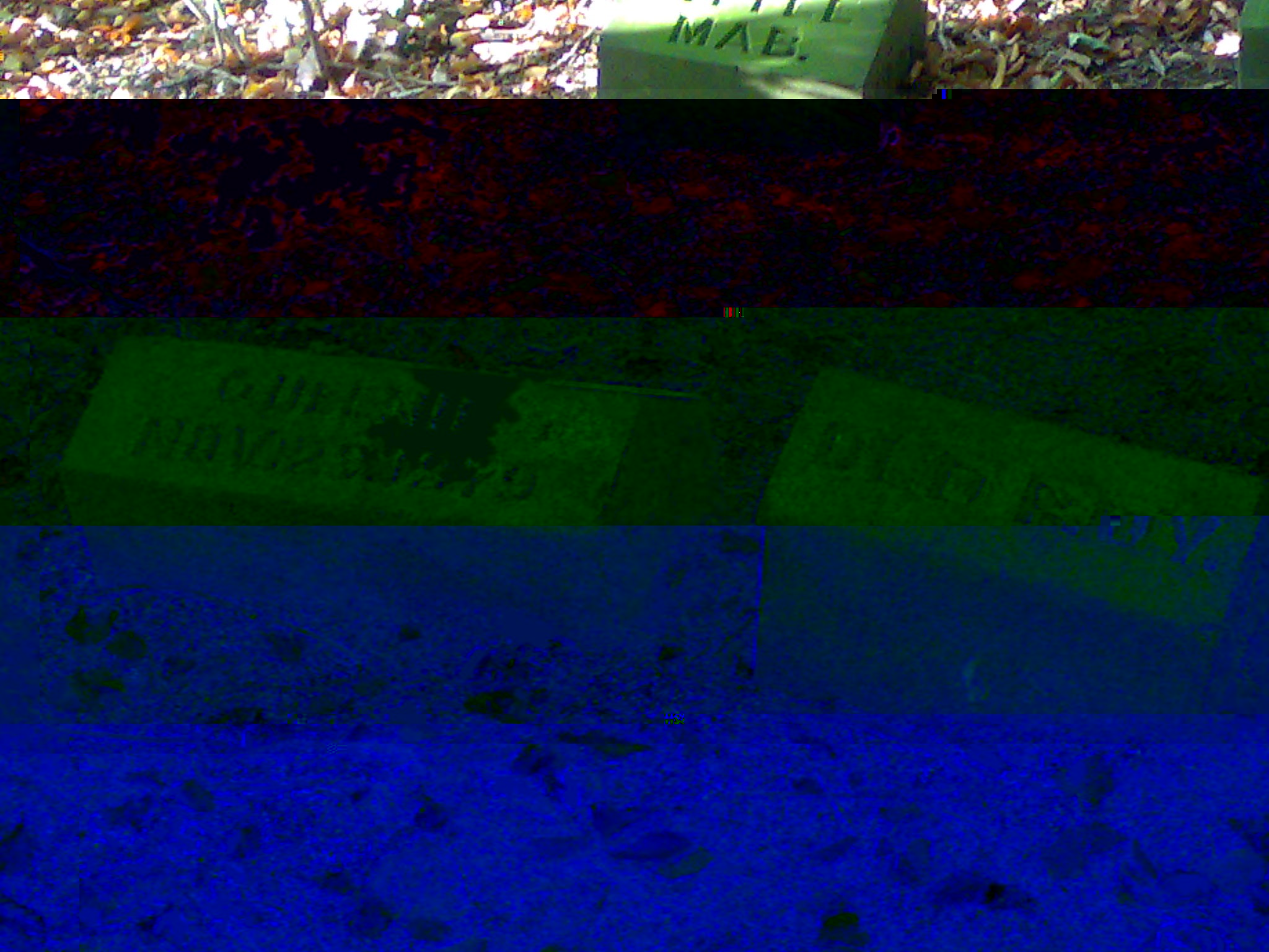 __TFMF_tf2dmw55s5geo245fq30kkb4_cbee2d1f-ef9f-423d-b464-950482d1f2c8_0_main.jpg