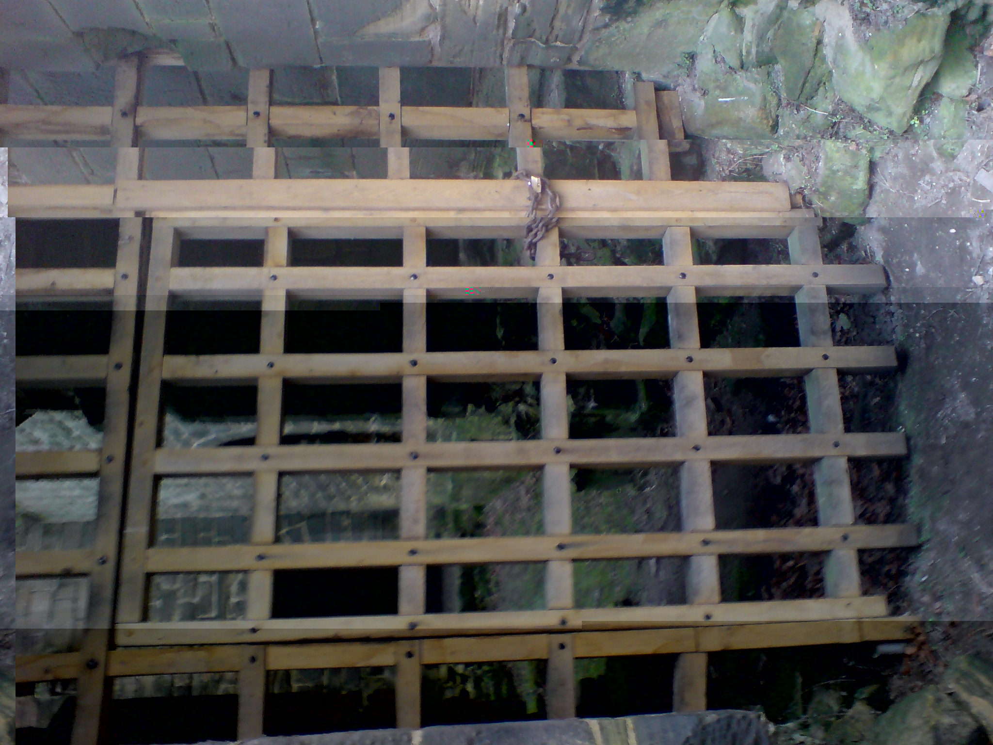 __TFMF_ej1h404535id3u45bmsp2n55_51184bb7-dc6d-44f0-a3ca-c0992f2156c2_0_main.jpg
