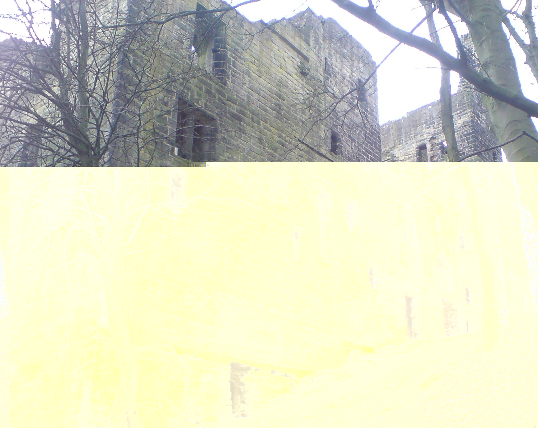 __TFMF_ej1h404535id3u45bmsp2n55_30612709-a855-4d87-a582-5e345b711eaa_0_main.jpg