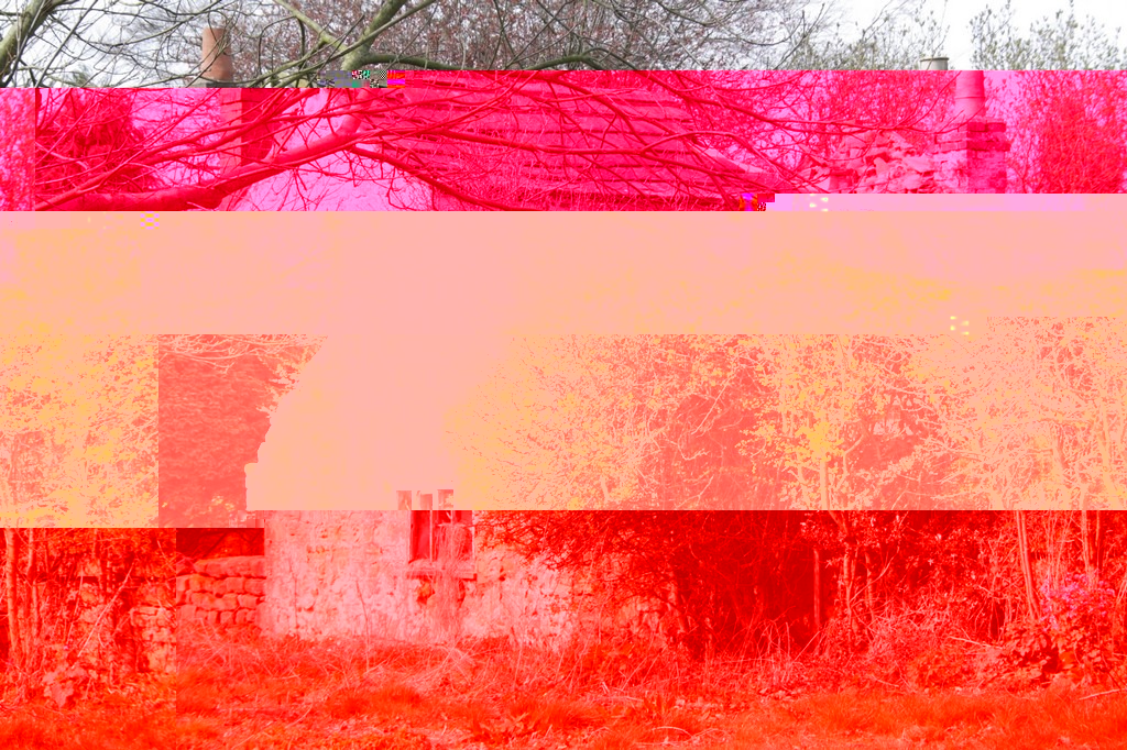 __TFMF_j1f4t5an3w5wg3n3xq55sj45_cb619173-1194-4b3a-8bcc-0bfe57fb087d_0_main.jpg