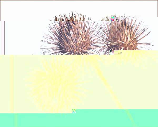 __TFMF_byk3b0552axdhbaf01thki45_23b78e38-e08e-46f2-ae2e-960cd5cea6dd_0_main.jpg