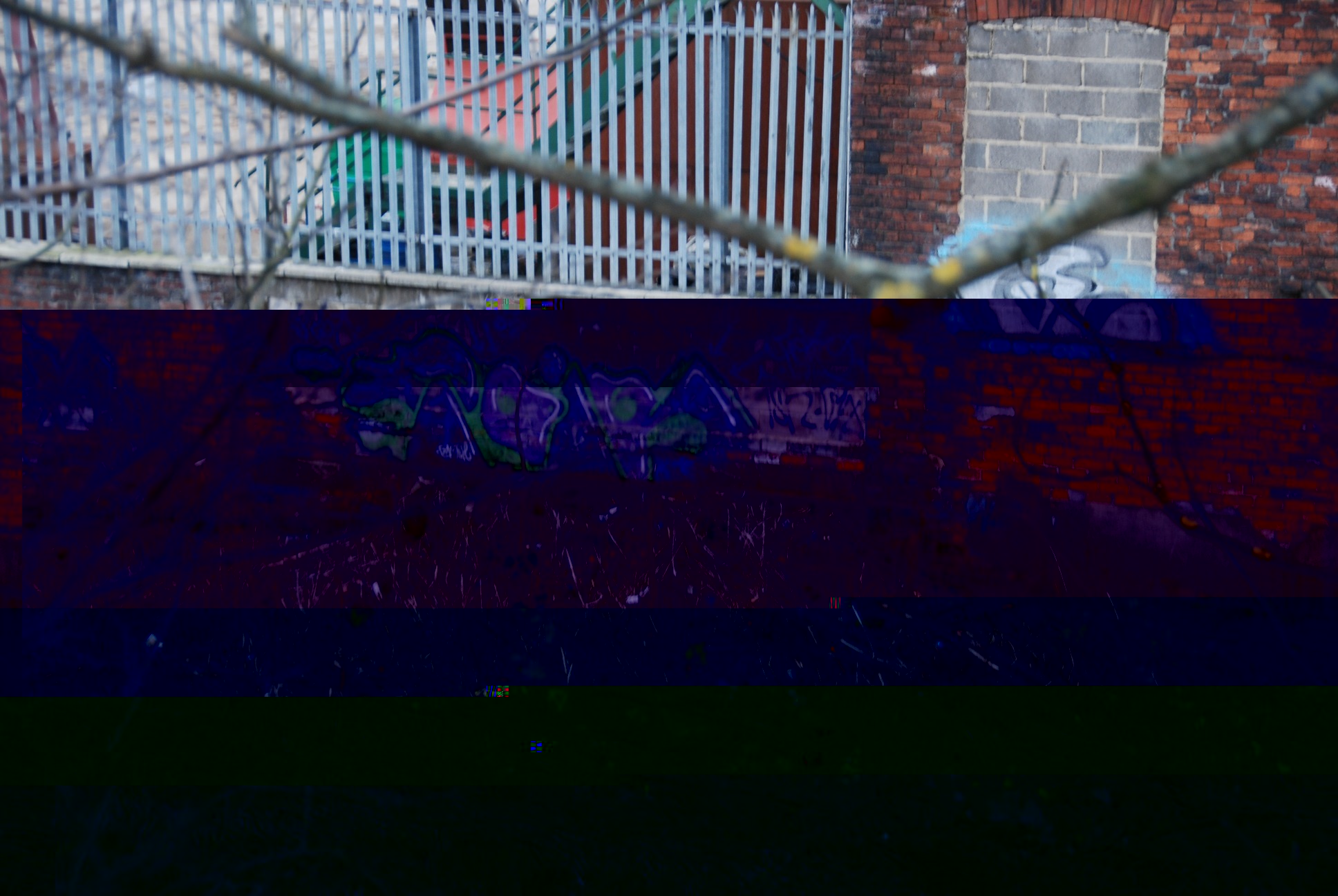 __TFMF_teauc4aceht4i1qnsfkofz55_43196887-395e-4bcd-b153-5ec05b4b5571_0_main.jpg