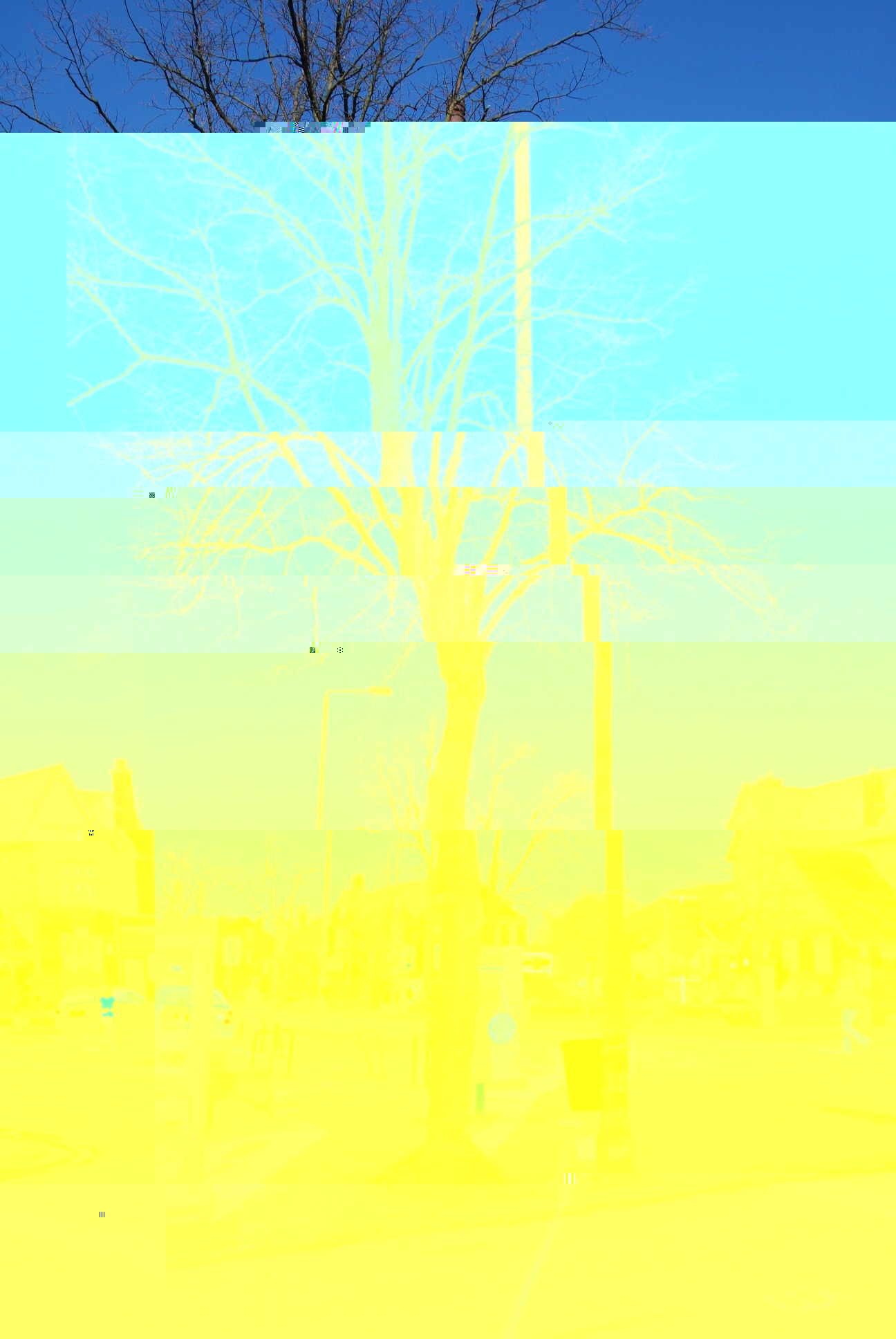 __TFMF_0r4oe3nribpfa445tcamlofy_8e26dec2-24e7-4507-b077-e7945b46b77f_0_main.jpg