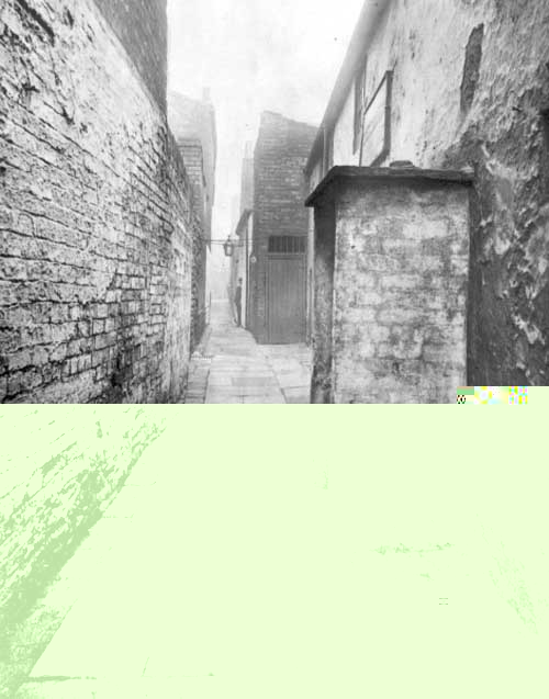 __TFMF_4tckeoiy1cnift45dwqn1s30_8d9c47d0-7982-4711-97d9-57597d0c2f85_0_main.jpg