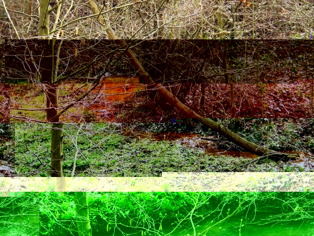 __TFMF_mysrpo55kvmmtvje4nk3yq45_6136b0c6-2f59-4b27-bd25-6d48b750a647_0_main.jpg