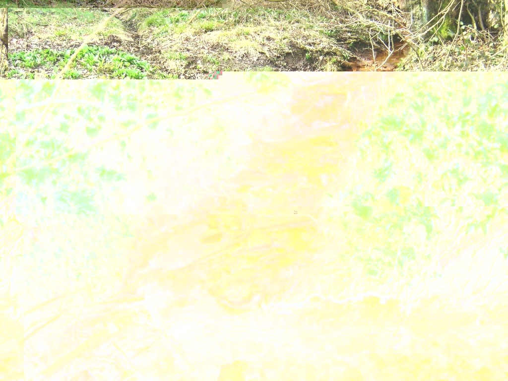 __TFMF_mysrpo55kvmmtvje4nk3yq45_267828b8-0b5d-4cac-844b-2d8f0e360ece_0_main.jpg