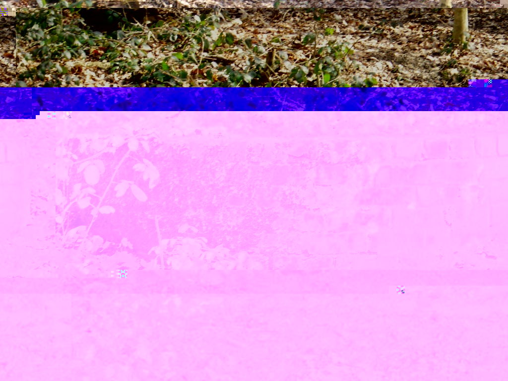 __TFMF_rqsuyiissaiqg255k41tbq55_ae6f6003-0d87-47f8-b372-a34636eb6076_0_main.jpg