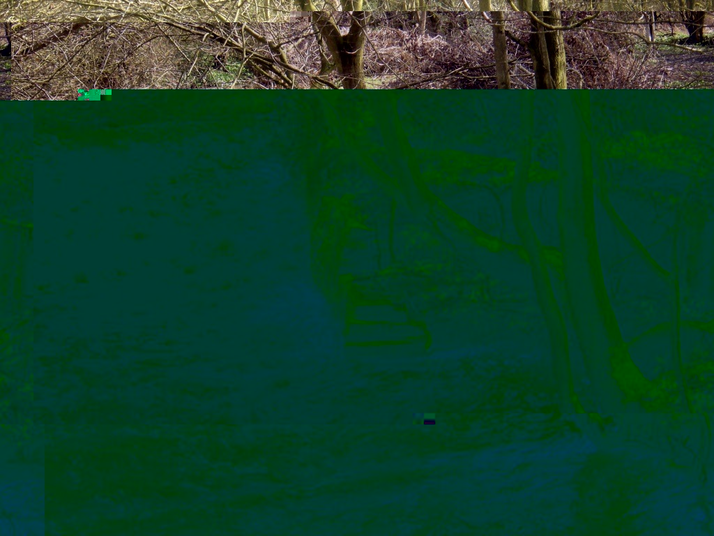 __TFMF_rqsuyiissaiqg255k41tbq55_f2c95ffa-b349-4508-ad50-c81d7e6d1311_0_main.jpg