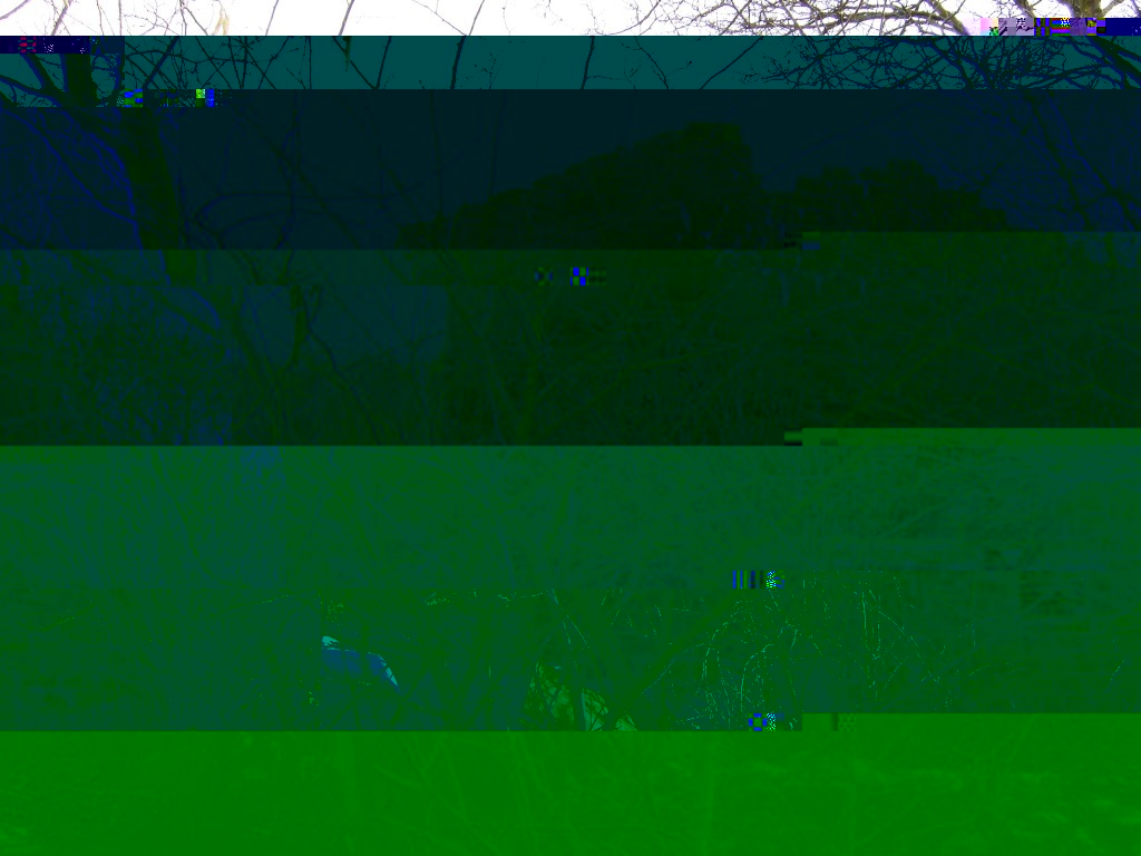__TFMF_rqsuyiissaiqg255k41tbq55_c4a3c1fa-4f45-406b-9da7-47dbf6336421_0_main.jpg