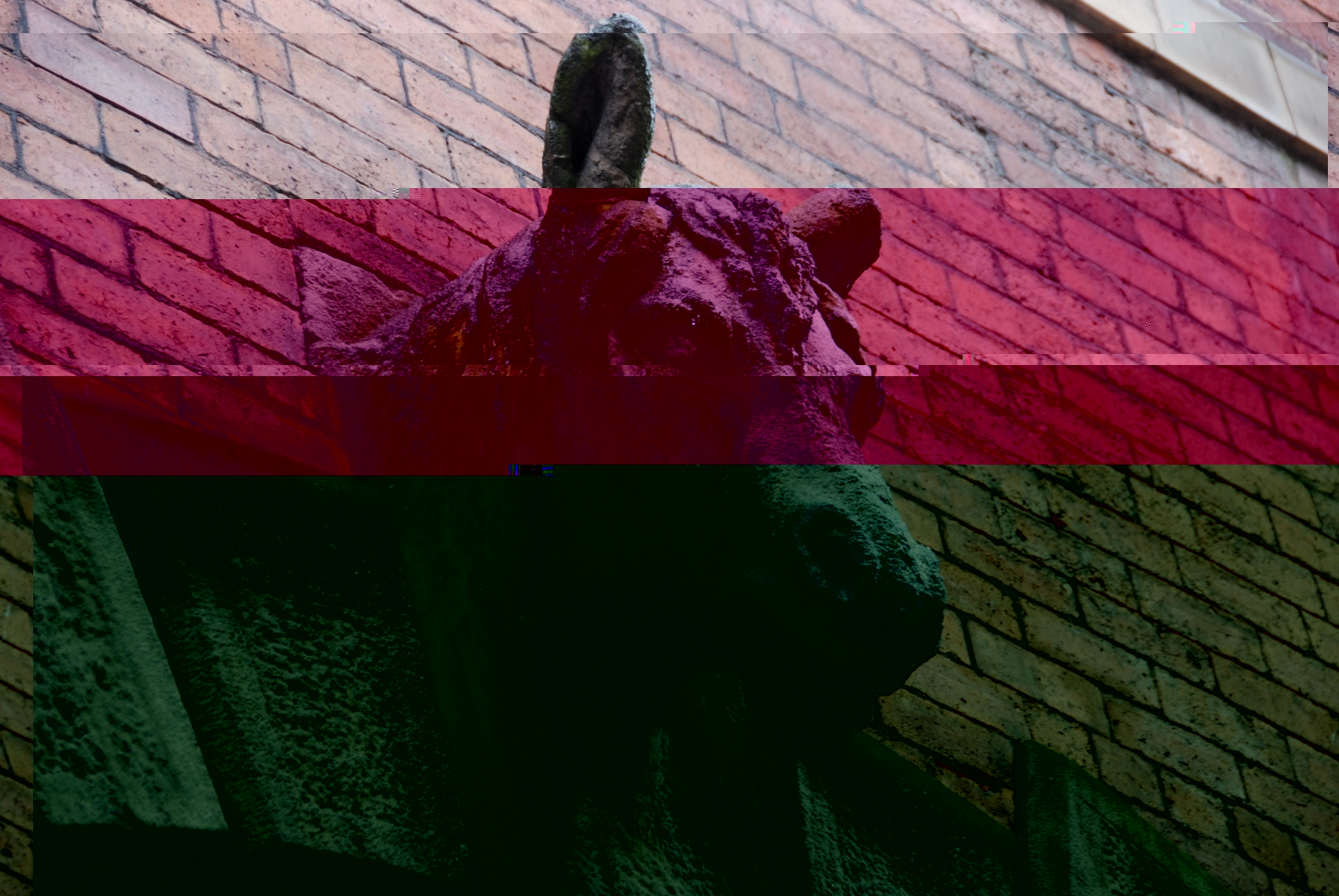 __TFMF_04zad1zxg2ej5p45ozefe455_a8d9fa4c-76fb-4728-baaf-6856b561c18c_0_main.jpg