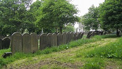 __TFMF_nb1ef2ve3imqazrkbogu0y45_6e8c6cd4-2684-4ecb-ad1e-6fb3ab06f7eb_0_main.jpg
