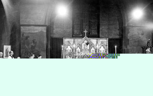 __TFMF_en0kd5aw01hcqlimuhrlj0jj_4341c535-16be-421b-8ac3-6b1049cf69cf_0_main.jpg