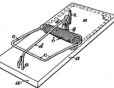 __TFMF_s3udyg450fva4ajm2gax54mj_402b1ccd-34e6-4421-900f-d0ce4498c030_0_main.jpg