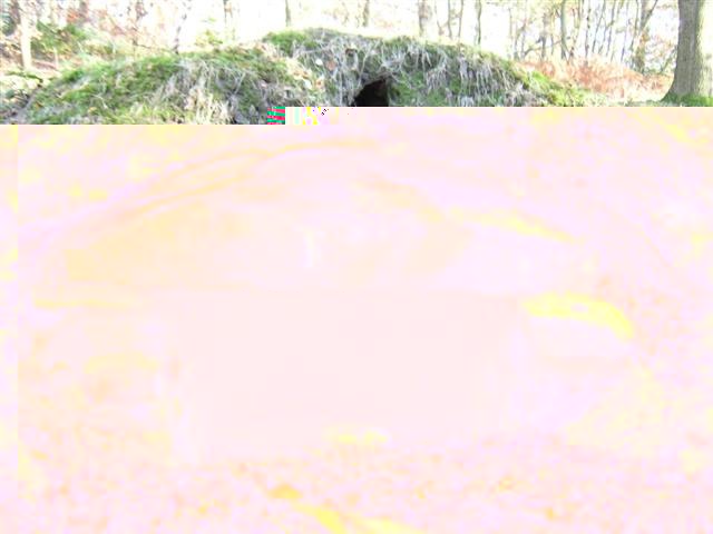 __TFMF_weo42m55mxwyolmox3wwdt45_296a3812-2cc3-417e-90e3-a80c46ebf742_0_main.jpg
