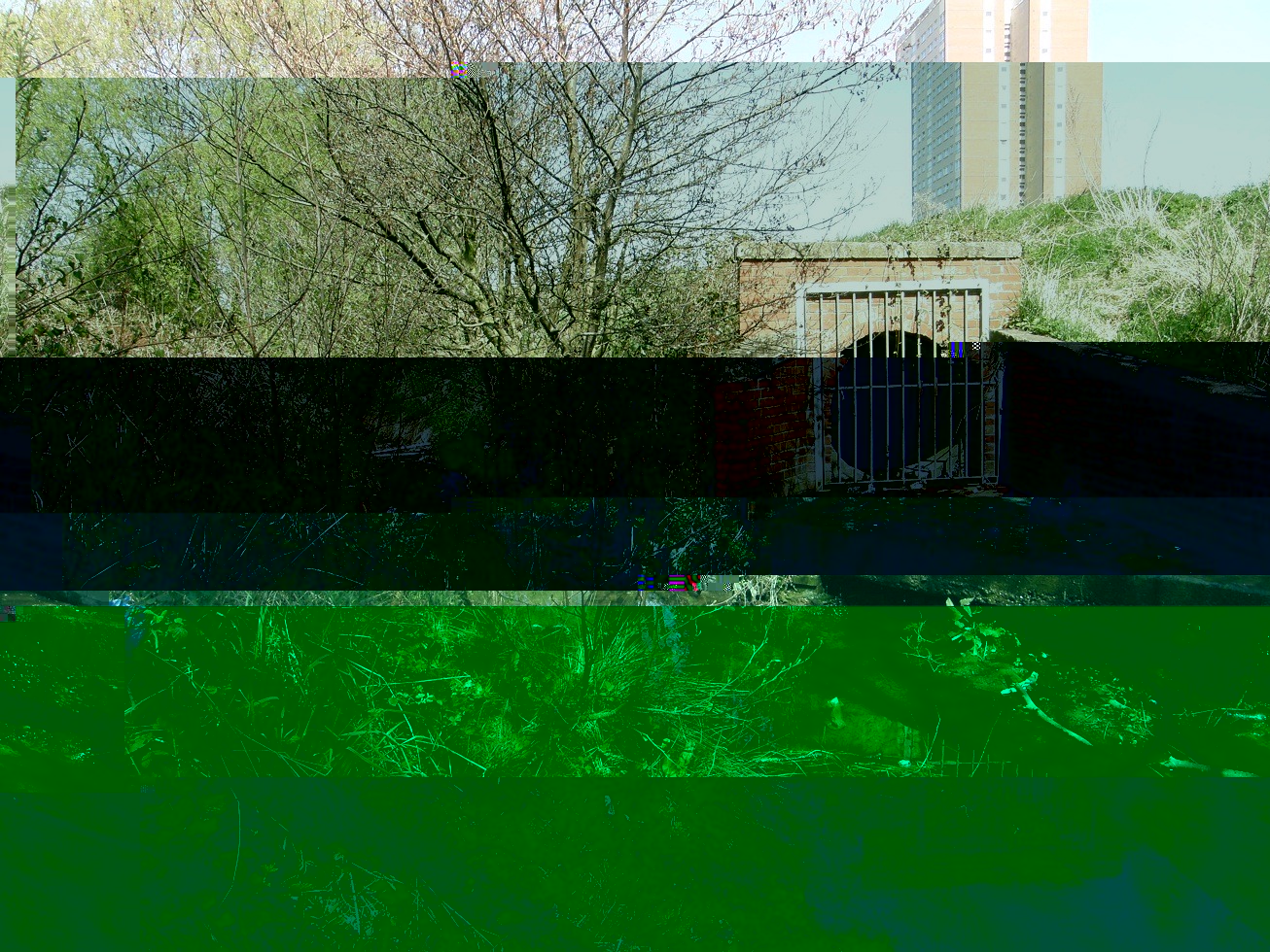 __TFMF_nvs2gk45mjyudq550rnsxwne_90ec7579-7f09-40fd-8f0f-f2dd909d7757_0_main.jpg