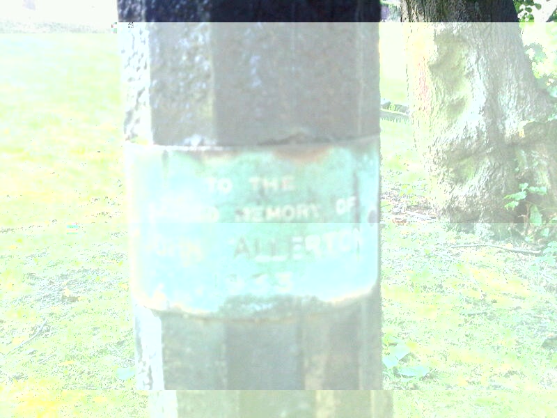__TFMF_i53qzna3bmtcod55ptydxn2e_2f50a626-45d7-400b-b81b-c84e7d46b1a1_0_main.jpg