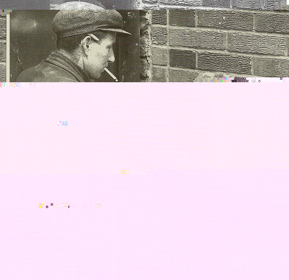 __TFMF_migfnj450motr4z52xqkl355_822f1979-c67a-4c9d-a2c7-9f00edc9f70a_0_main.jpg