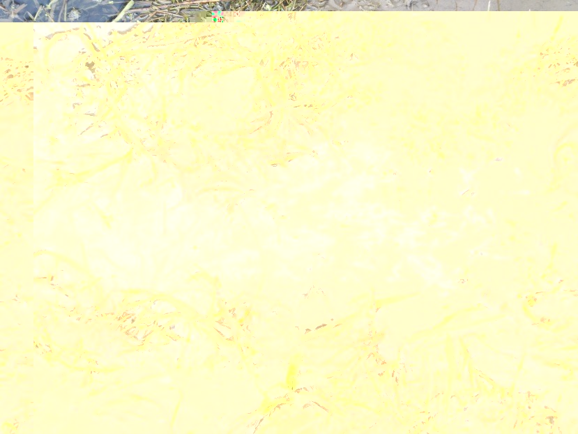 __TFMF_tkhaip454wrlta45uomora55_5836e6d4-dd39-4c5e-bb8d-4fd6766b83b4_0_main.jpg