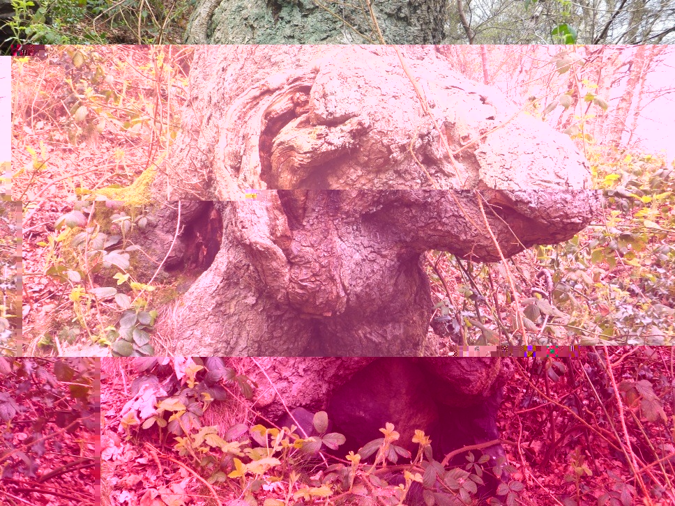 __TFMF_31mvzg45b4eiqo55x3siph55_17e82b9e-f6d9-483f-9225-7913a5f6ceb8_0_main.jpg