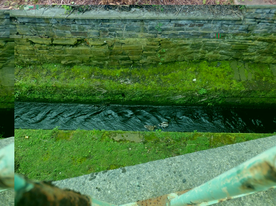 __TFMF_g1k3eovjkbgojp55wvplvh45_a8d59360-5ad0-4e9f-885b-9f7572f0227e_0_main.jpg