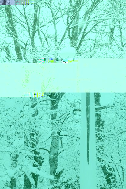 __TFMF_a0pk2z45g0ibmxqoemnycy45_72a33cb1-1449-4796-8175-6387c01b0021_0_main.jpg