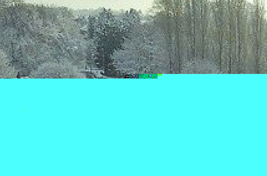 __TFMF_swiniw45bq3ypq55ogs23yq3_d1c6e4d6-980a-4bc6-8506-6b8e7117d708_0_main.jpg