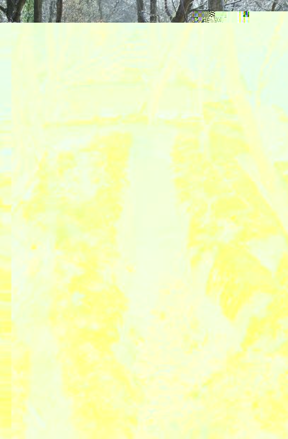 __TFMF_nlxzyi55lkfpvz452gbbxz45_9f8dbd11-6b0b-422d-b57b-0ded1ac5535d_0_main.jpg