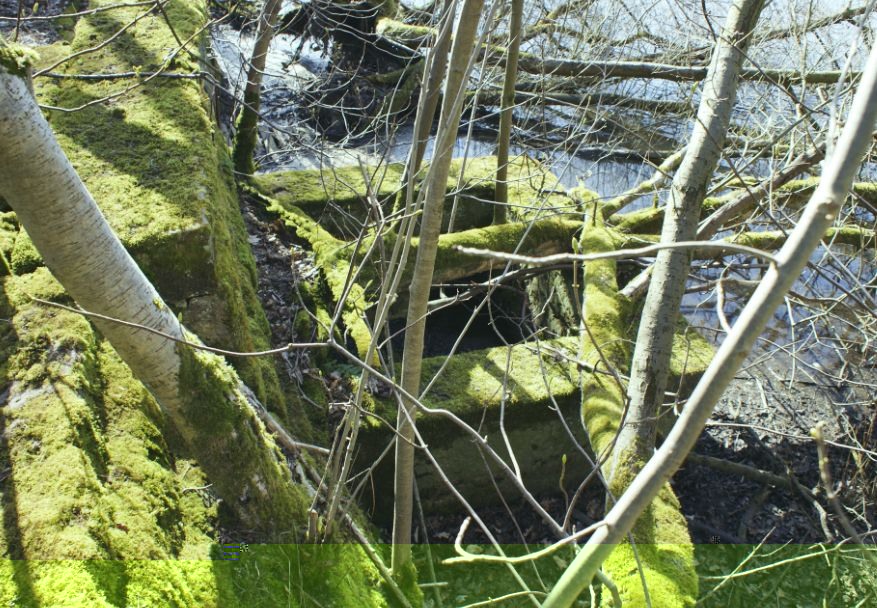 __TFMF_nlxzyi55lkfpvz452gbbxz45_60d2533b-ef92-42c3-9b69-eb90216f4829_0_main.jpg